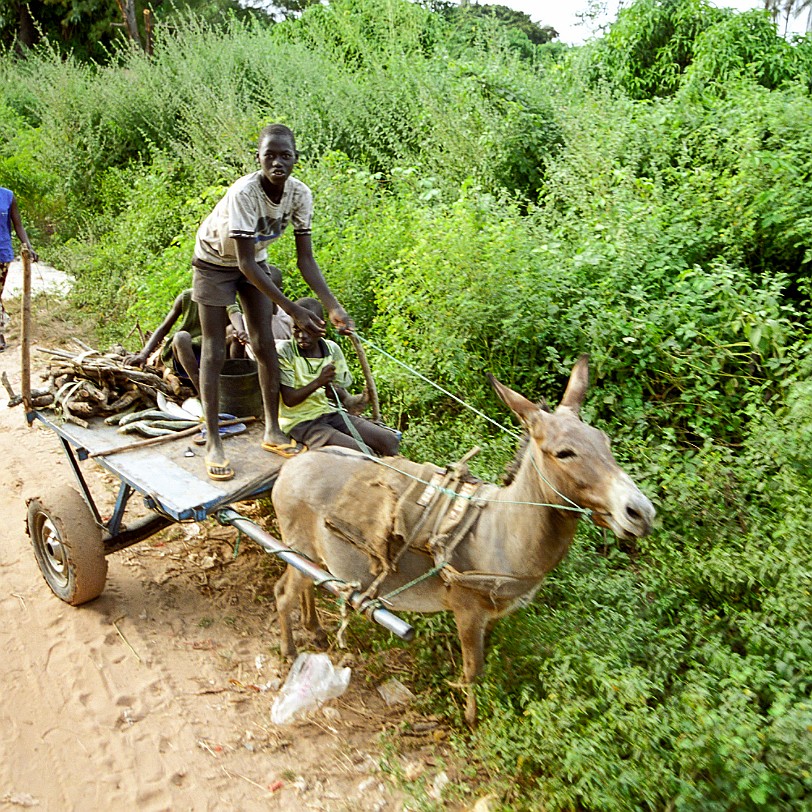 Gambia [623-21] Afrika, Gambia