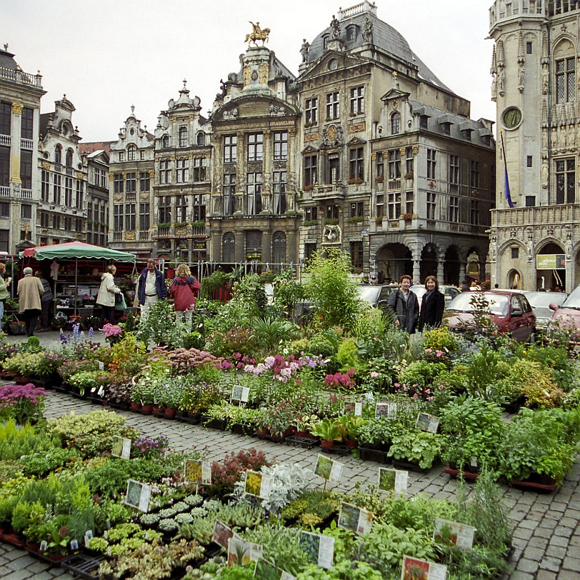 Bruessel [023385] Brüssel, Belgien