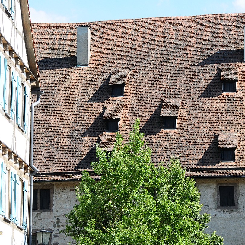 DSC_4598 Unter anderem dank der Wirksamkeit des charismatischen Bernhard von Clairvaux erhielt der Zisterzienserorden auch im heutigen Deutschland großen Zulauf. In...