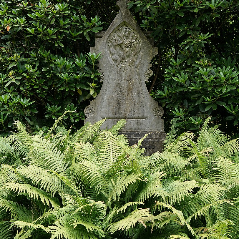 DSC00158 Hamburg, Friedhof, Ohlsdorf, Hamburg-Ohlsdorf Der Ohlsdorfer Friedhof hat eine Fläche von 391 Hektar, erstreckt sich in West-Ost-Richtung über eine Länge von...