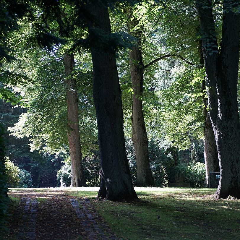 DSC00342 Hamburg, Friedhof, Ohlsdorf, Hamburg-Ohlsdorf