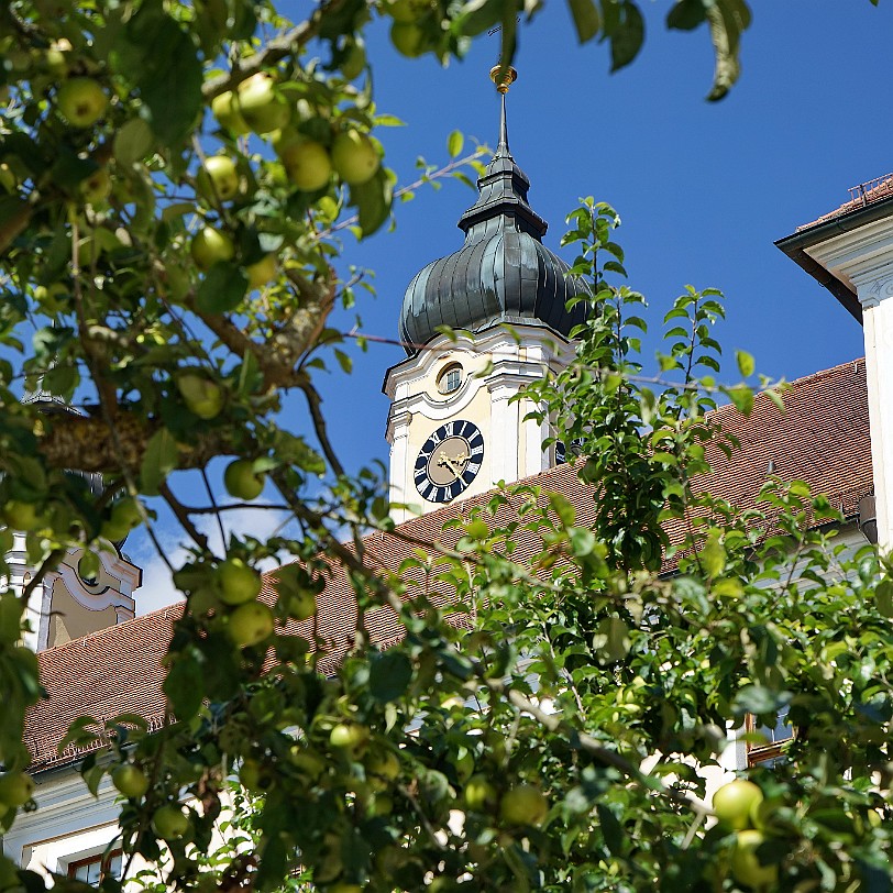 DSC02797 Kloster Roggenburg