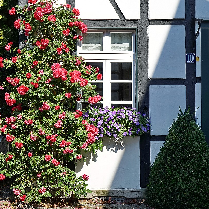 DSC02815 Die erste urkundliche Nennung von Westerholt erfolgte 1047 in der Urbare, einem Güteverzeichnis des Klosters Werden. Die Herren von Westerholt werden schon im...