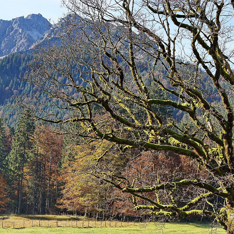 DSC04250 Fellhorn, Oberstdorf, Bayern