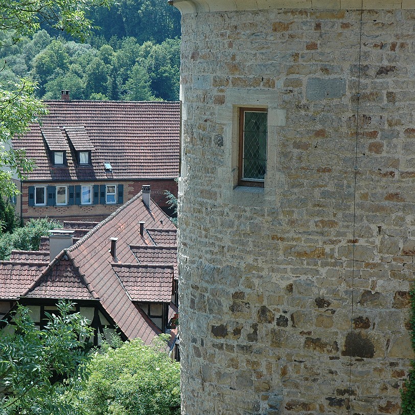 DSC_5528 (Kloster) Bebenhausen liegt nördlich von Tübingen, am Südhang des Brombergs auf einem seit dem Mittelalter künstlich erweiterten Plateau oberhalb der Talsohle...
