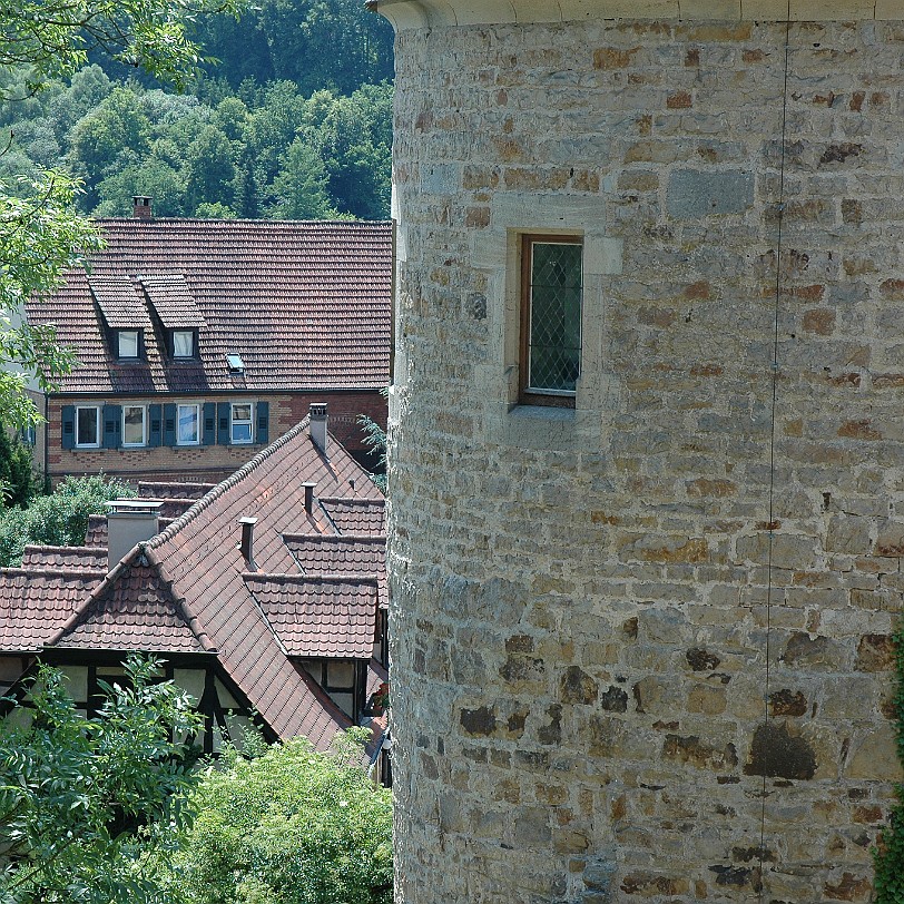 DSC_5528 (Kloster) Bebenhausen liegt nördlich von Tübingen, am Südhang des Brombergs auf einem seit dem Mittelalter künstlich erweiterten Plateau oberhalb der Talsohle...