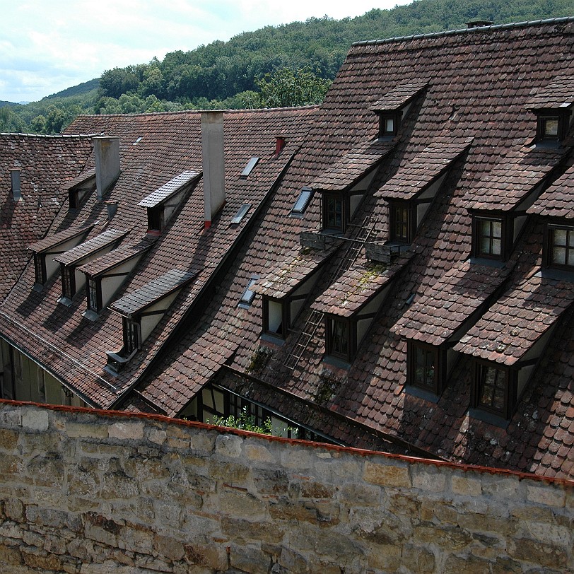 DSC_5583 Kloster Bebenhausen bei Tübingen, Baden Württemberg