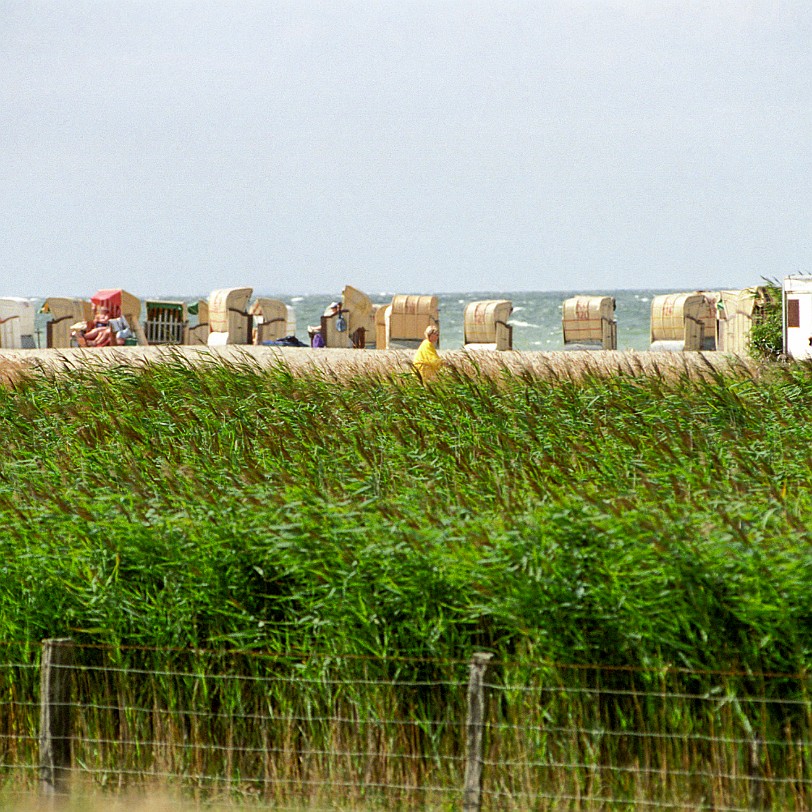 Fehmarn [619-33] Fehmarn, Schleswig-Holstein