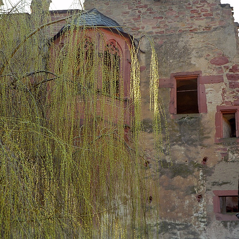 Heidelberg [590-25] Heidelberg Baden-Württemberg