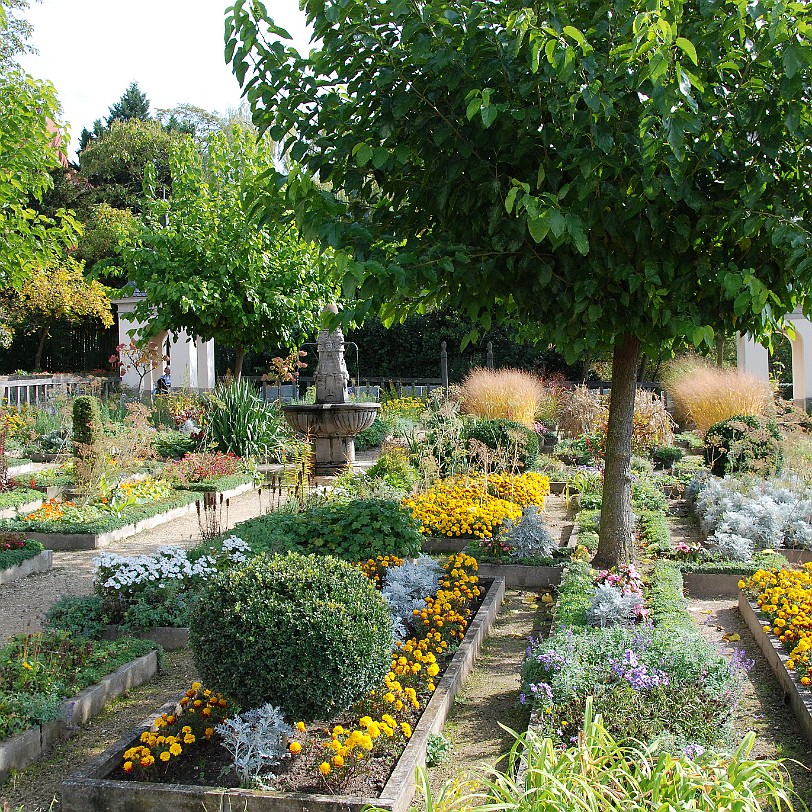 DSC_4903 Leonberg. Pomeranzengarten Unterhalb der Gartenterrasse wurde ein weitläufiger Obstgarten angelegt und direkt neben der Terrasse ein Küchengarten. Diese Teile...