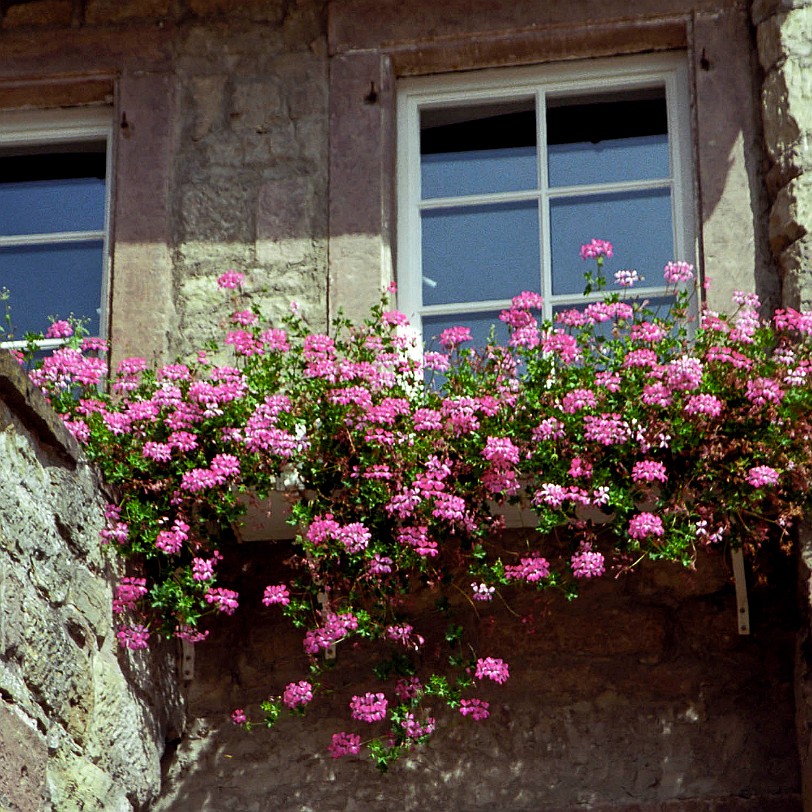 [801.05] Kloster Maulbronn 2004-08 Kloster Maulbronn