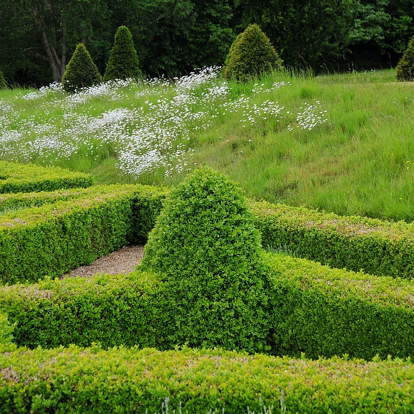 DSC_7961 The main front of the house overlooks a wide expanse of lawn from which a broad flight of steps leads down to the lower terrace where, in 2000, a parterre...