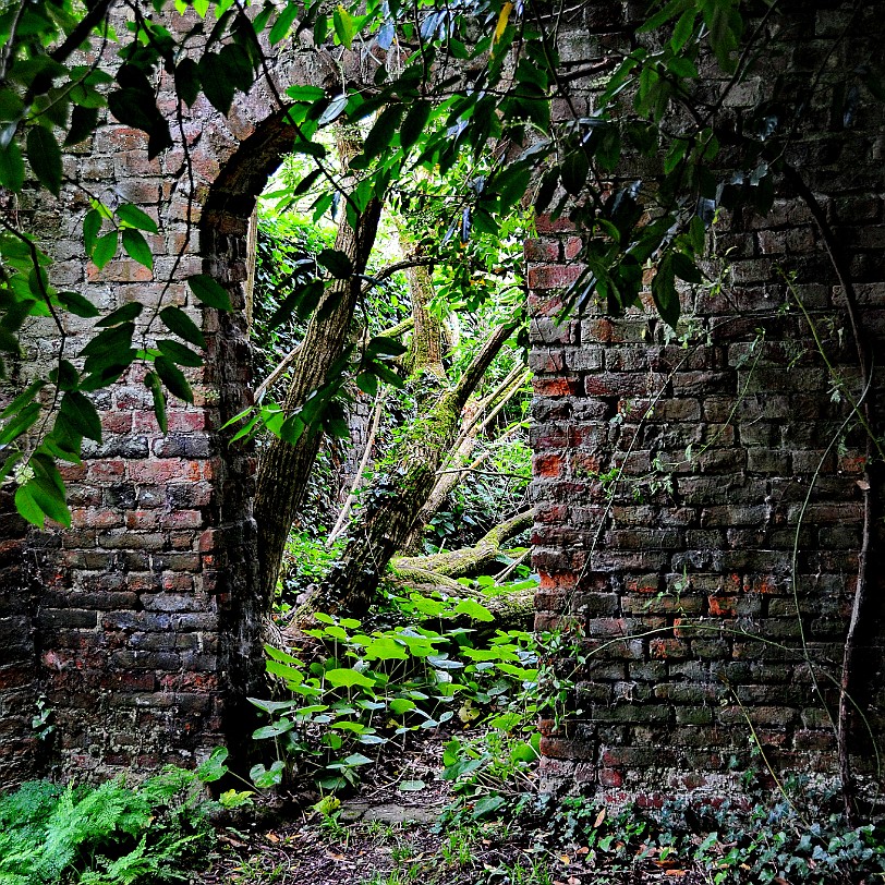 DSC_7964 Goodnestone Gardens, Kent