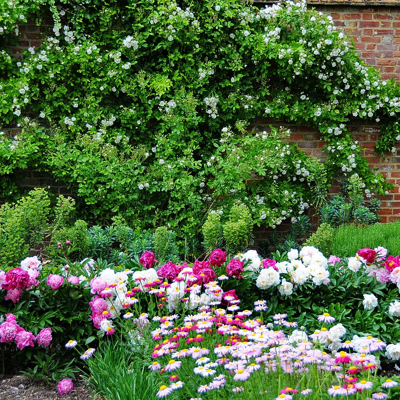 DSC_7994 Goodnestone Gardens, Kent