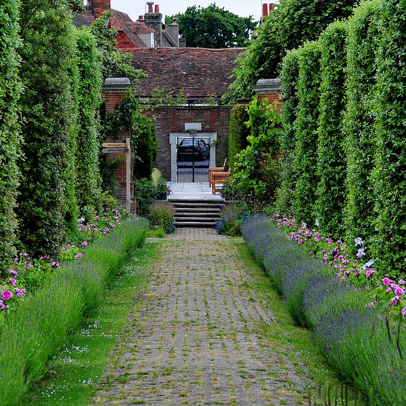 DSC_7920 Secret Gardens of Sandwich, Kent
