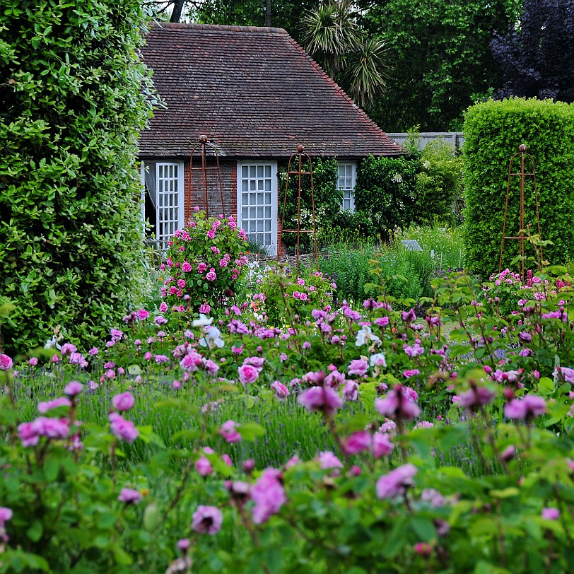 DSC_7922 Secret Gardens of Sandwich, Kent