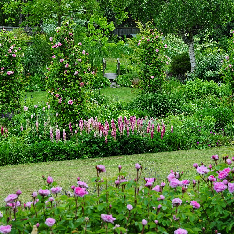 DSC_7923 Secret Gardens of Sandwich, Kent