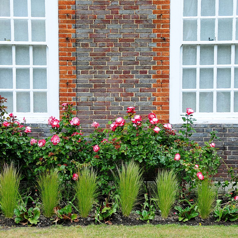 DSC_7926 Secret Gardens of Sandwich, Kent