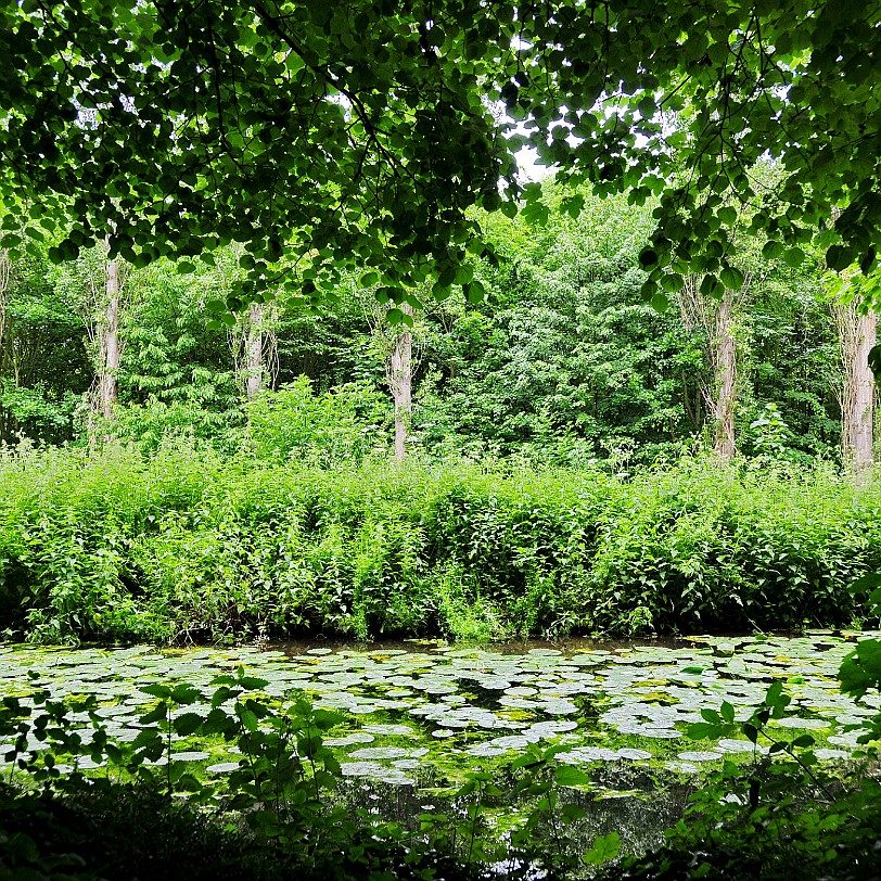 DSC_8091 Anglesey Abbey, Cambridge