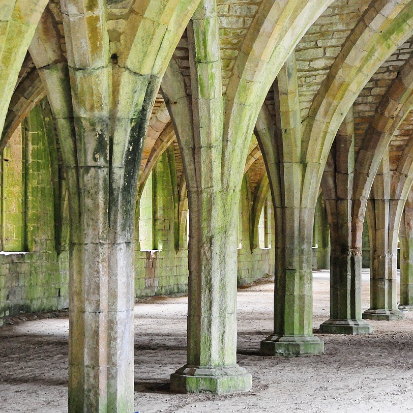 DSC_8407 Fountains Abbey, North Yorkshire, UNESCO Weltkulturerbe