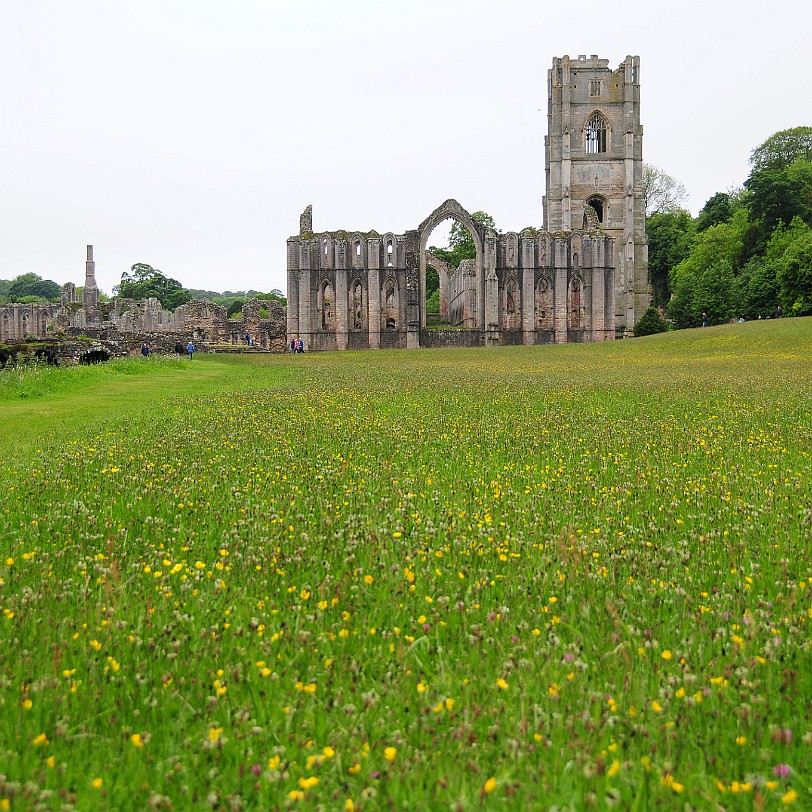 DSC_8428 Fountains Abbey, North Yorkshire, UNESCO Weltkulturerbe