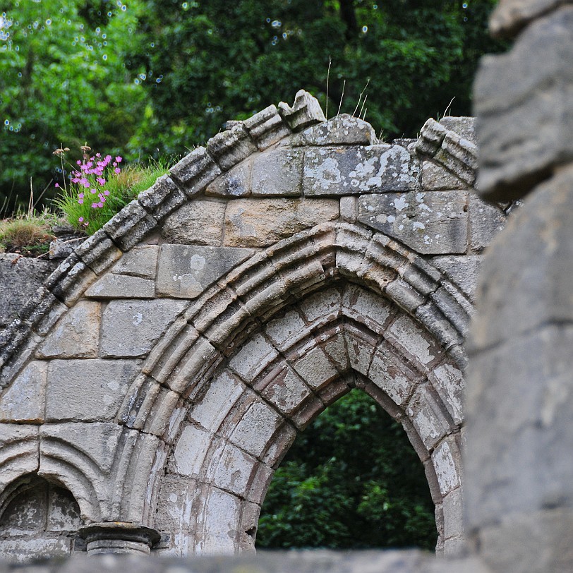 DSC_8432 Fountains Abbey, North Yorkshire, UNESCO Weltkulturerbe