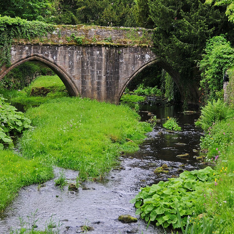 DSC_8438 Fountains Abbey, North Yorkshire, UNESCO Weltkulturerbe