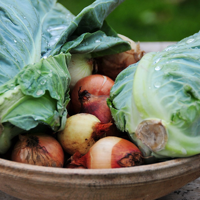 DSC_8444 Fountains Abbey, North Yorkshire, UNESCO Weltkulturerbe