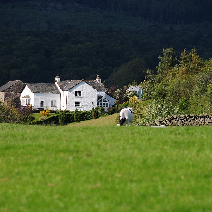 DSC_8670 Cinder Hill, Rusland, Cumbria, Lake District Bed and Breakfast