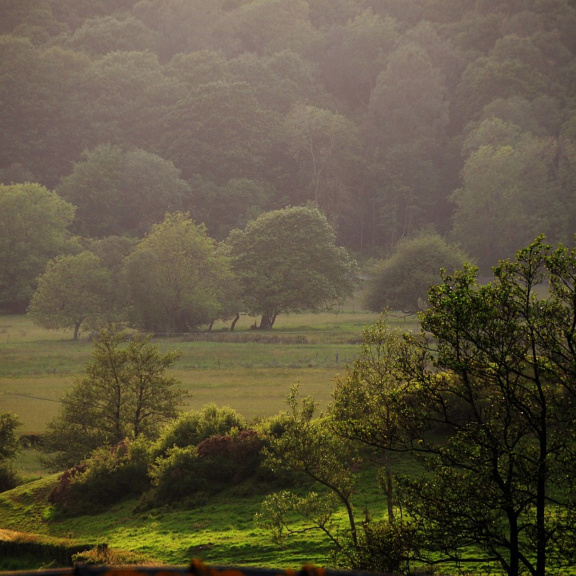 DSC_8770 Cinder Hill, Rusland, Cumbria, Lake District Bed and Breakfast