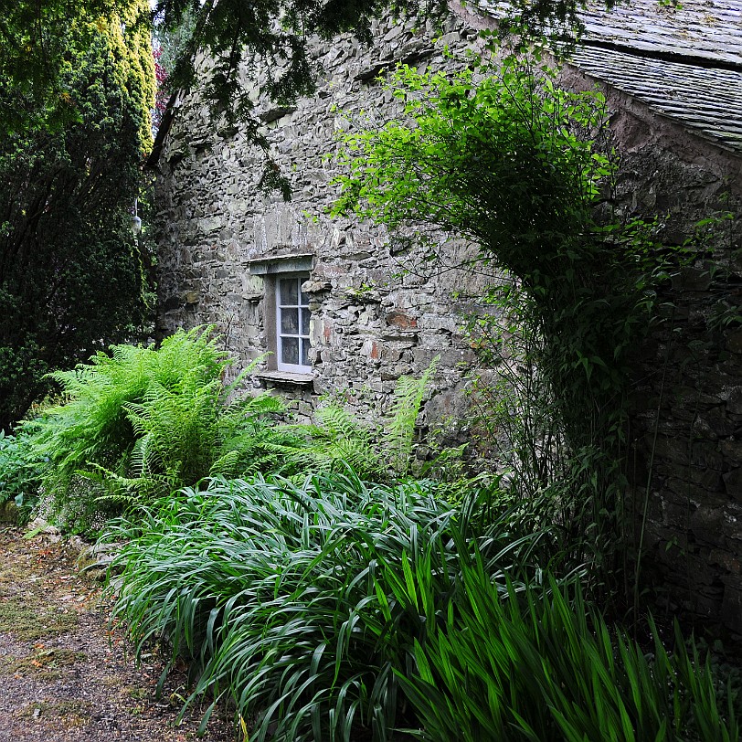 DSC_8776 David was brought up in Rusland Hall and, after a lifetime travelling the world, has returned to his roots. Knowledgeable about the countryside of Cumbria in...