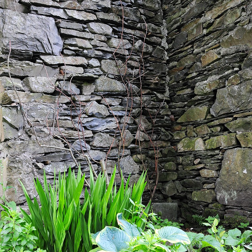 DSC_8779 Cinder Hill, Rusland, Cumbria, Lake District Bed and Breakfast