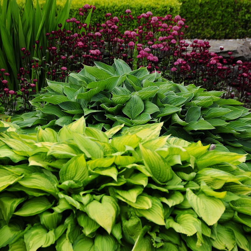 DSC_8786 Cinder Hill, Rusland, Cumbria, Lake District Bed and Breakfast