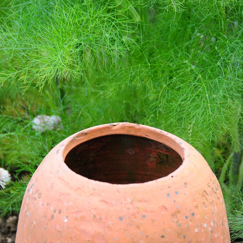 DSC_8790 Cinder Hill, Rusland, Cumbria, Lake District Bed and Breakfast