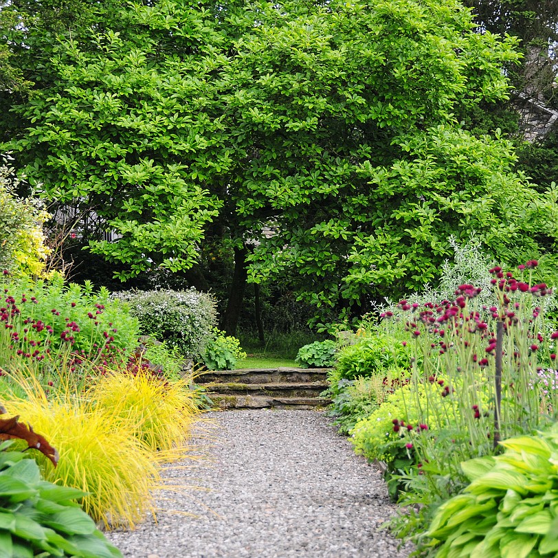 DSC_8796 Cinder Hill, Rusland, Cumbria, Lake District Bed and Breakfast
