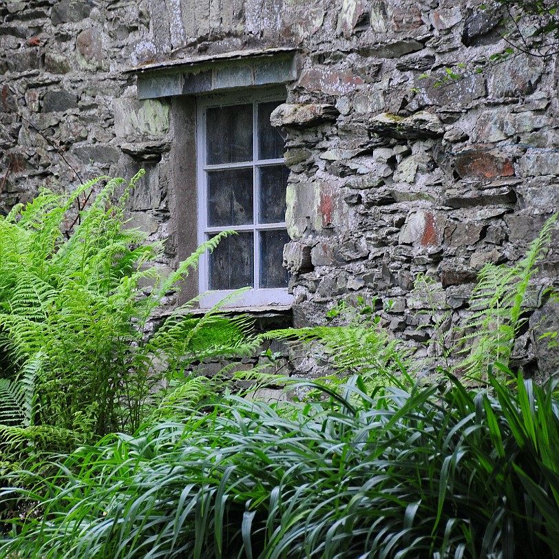 DSC_8806 Cinder Hill, Rusland, Cumbria, Lake District Bed and Breakfast