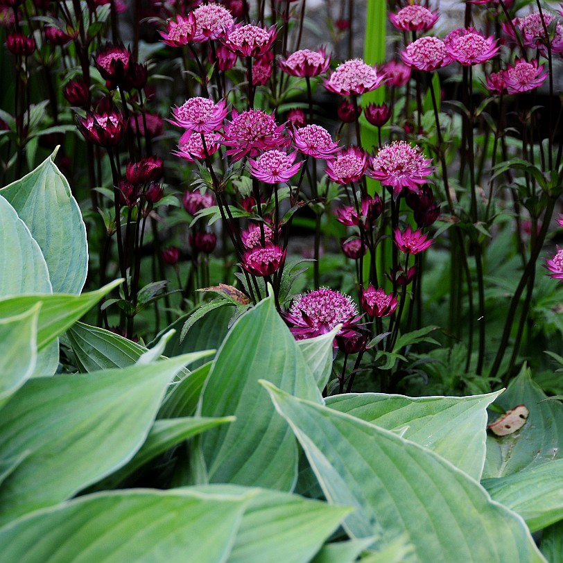 DSC_8813 Cinder Hill, Rusland, Cumbria, Lake District Bed and Breakfast