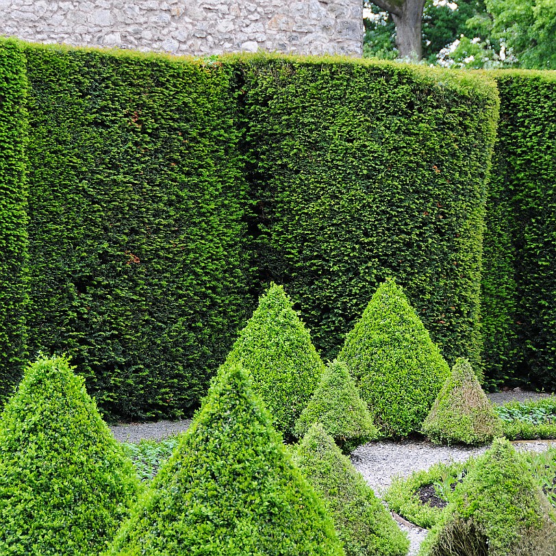 DSC_8815 Levens Hall is a manor house in the county of Cumbria in northern England. The first house on the site was a pele tower built by the Redman family in around...