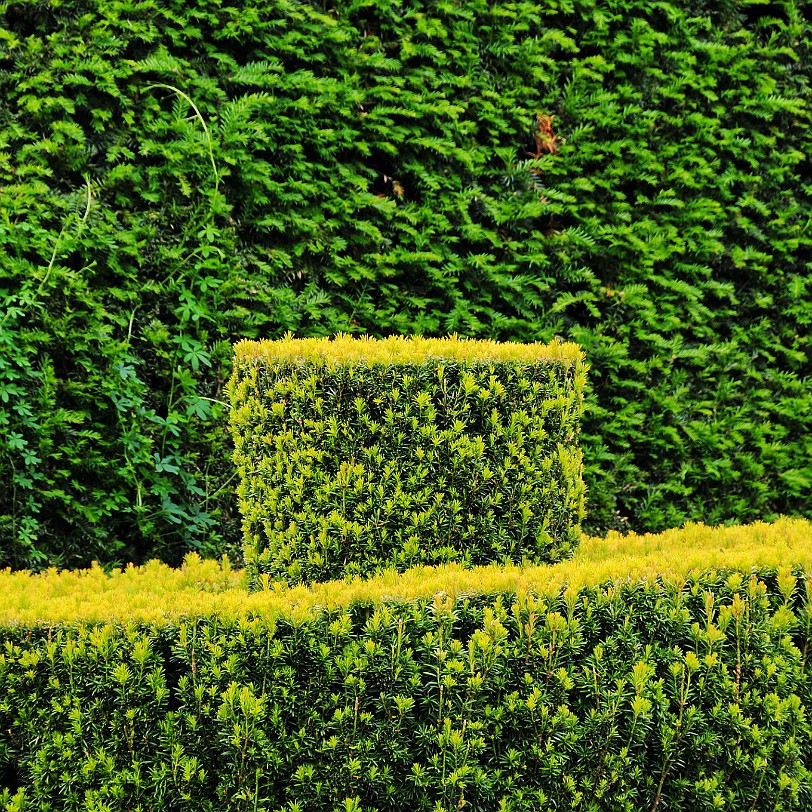 DSC_8835 Kendal, Levens Hall, Cumbria