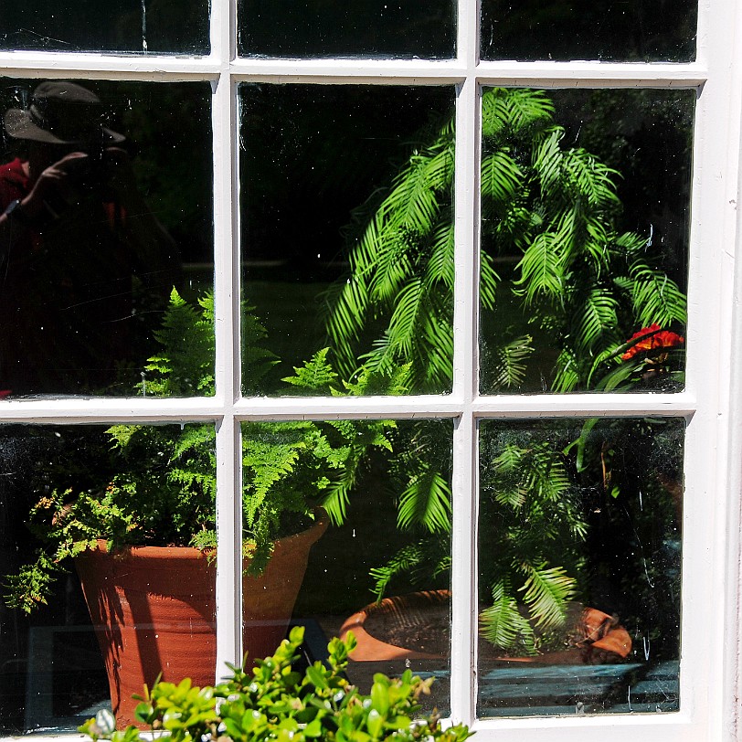 DSC_9091 Dunham Massey, Altrincham, Cheshire