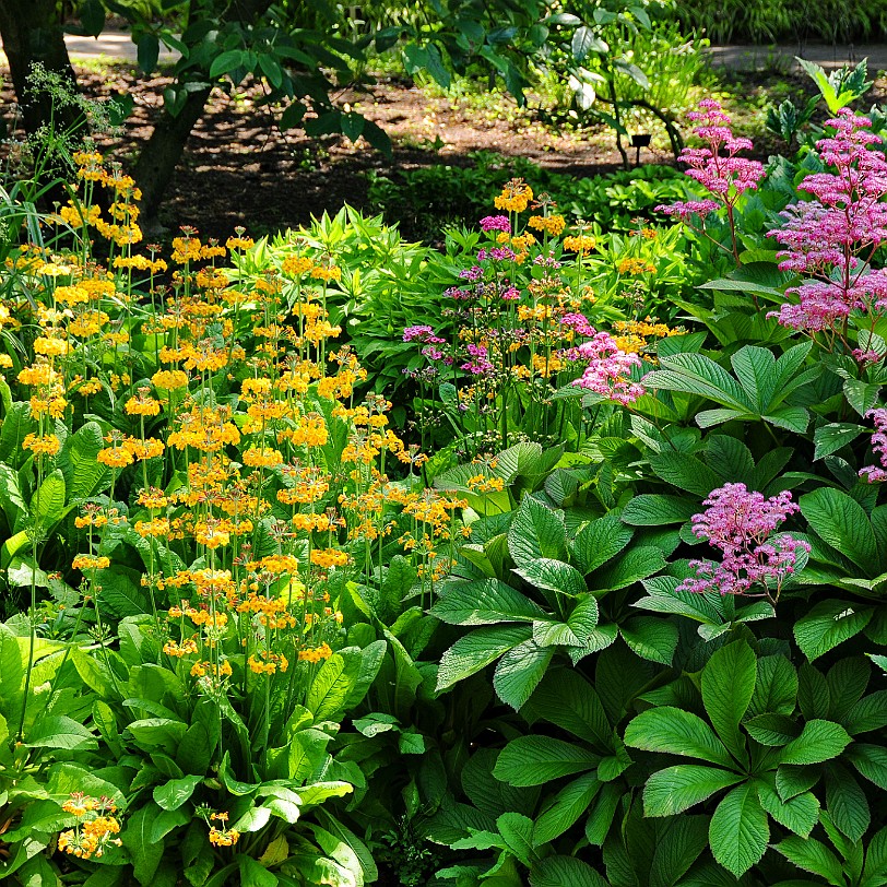 DSC_9098 Dunham Massey, Altrincham, Cheshire