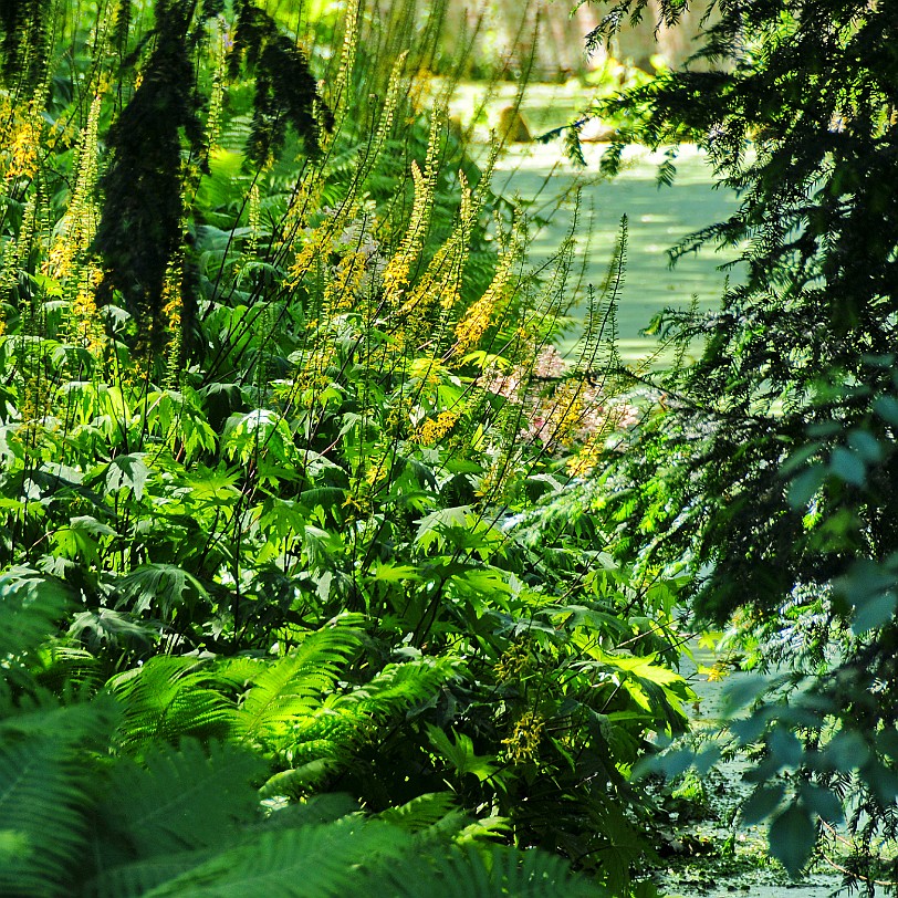 DSC_9105 Dunham Massey, Altrincham, Cheshire