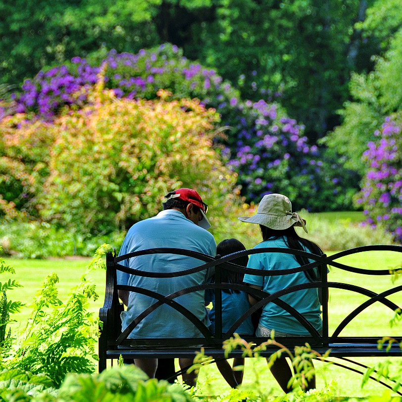 DSC_9109 Dunham Massey, Altrincham, Cheshire