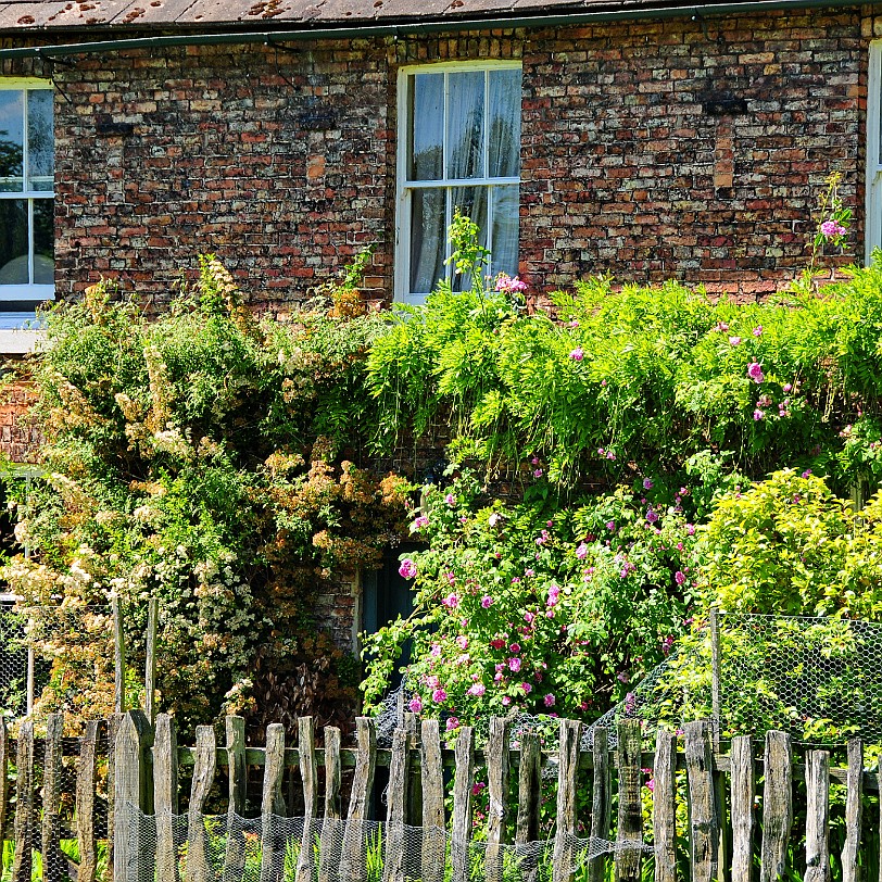 DSC_9117 Dunham Massey, Altrincham, Cheshire