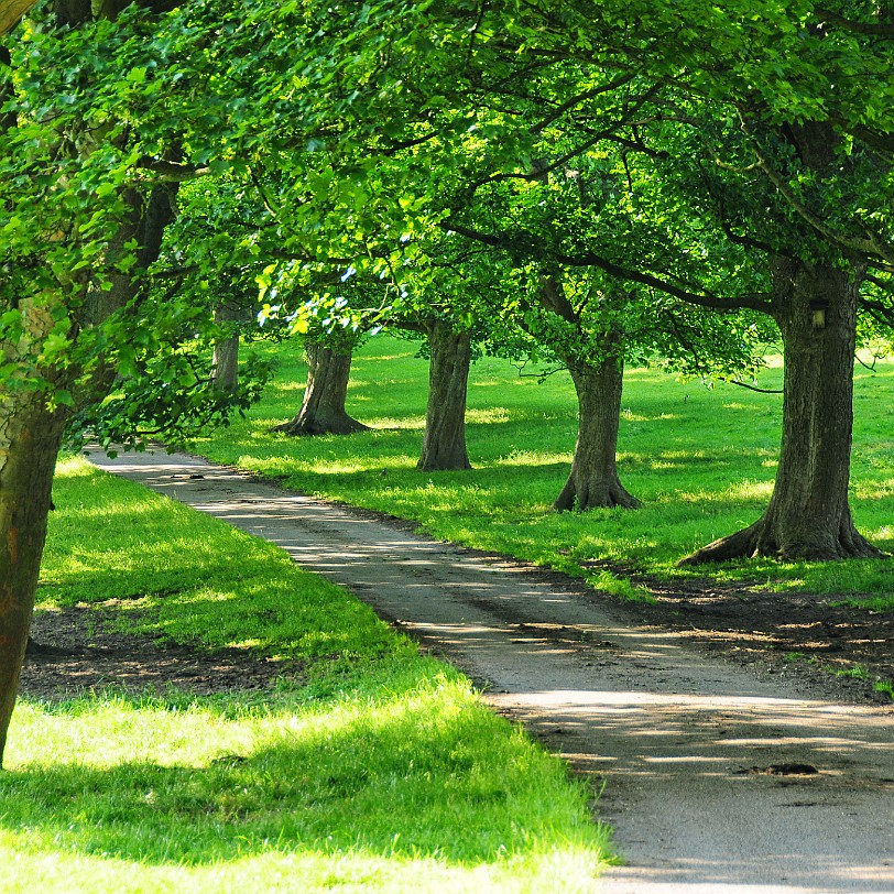 DSC_9334 Llanasa, Holywell, Golden Grove, Flintshire