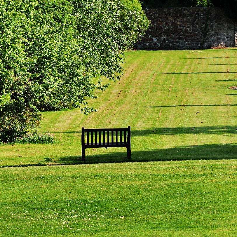 DSC_9338 Llanasa, Holywell, Golden Grove, Flintshire