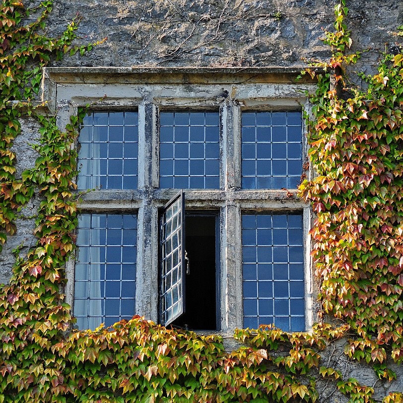 DSC_9349 Llanasa, Holywell, Golden Grove, Flintshire