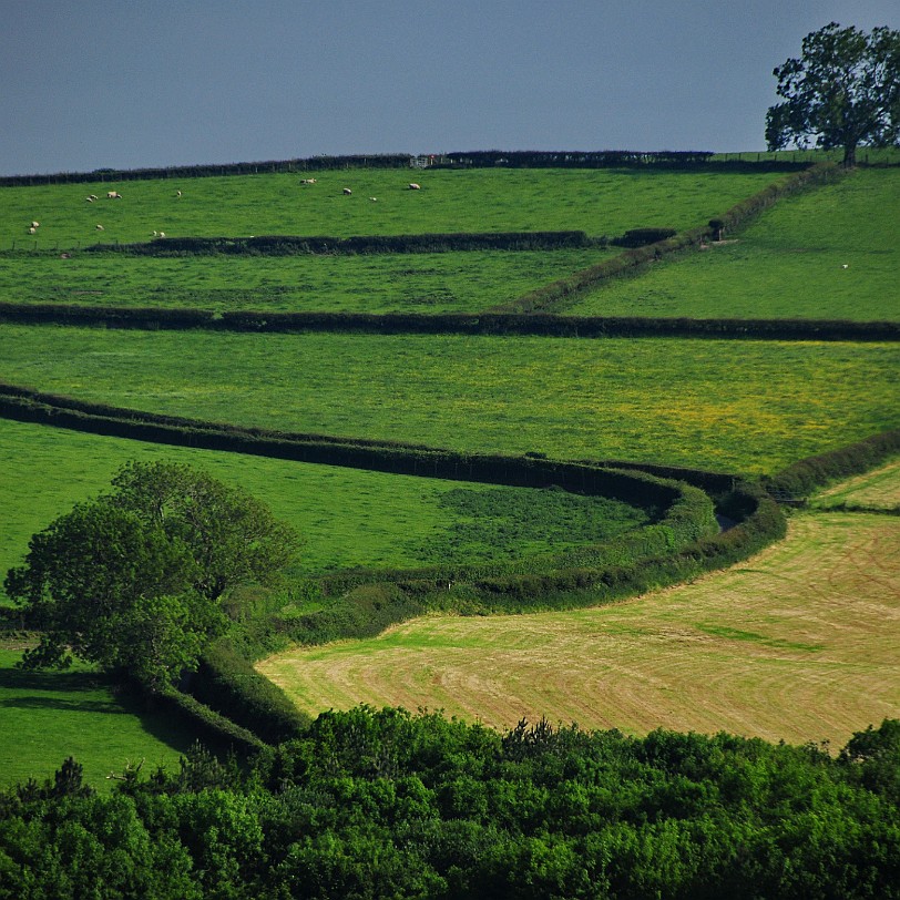 DSC_9352 Llanasa, Holywell, Golden Grove, Flintshire