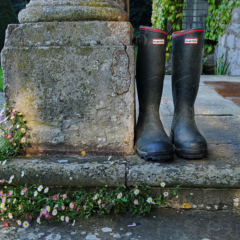 DSC_9374 Llanasa, Holywell, Golden Grove, Flintshire