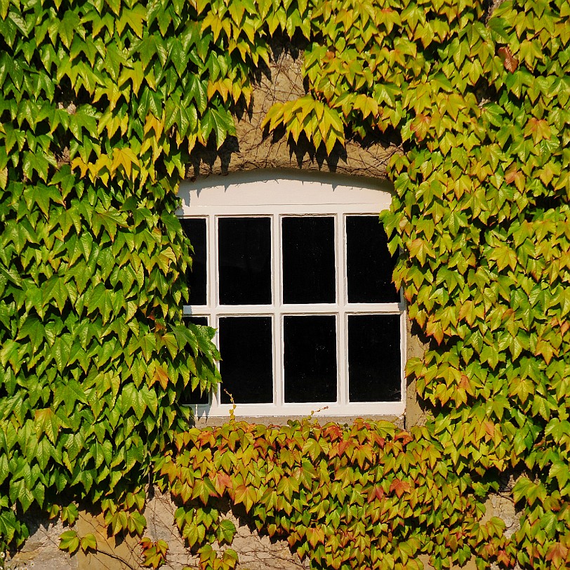 DSC_9384 Llanasa, Holywell, Golden Grove, Flintshire